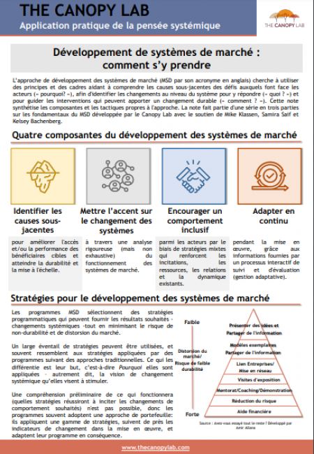 Développement de systèmes de marché (MSD): comment s’y prendre